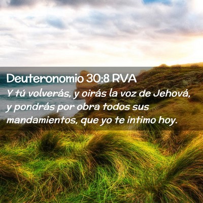 Picture 02 - Deuteronomio 30:8 RVA - Y tú volverás, y oirás la voz de Jehová, y - Bible Verse Picture