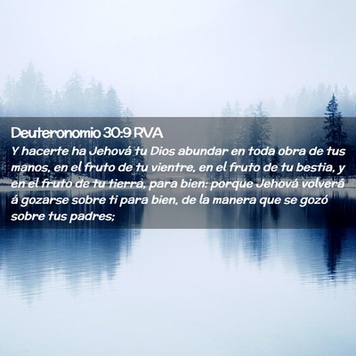 Picture 02 - Deuteronomio 30:9 RVA - Y hacerte ha Jehová tu Dios abundar en toda obra - Bible Verse Picture