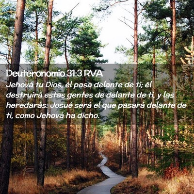 Picture 02 - Deuteronomio 31:3 RVA - Jehová tu Dios, él pasa delante de ti; él - Bible Verse Picture
