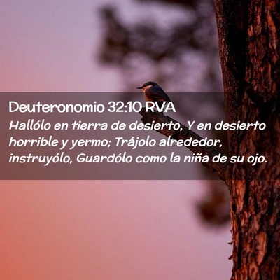 Picture 02 - Deuteronomio 32:10 RVA - Hallólo en tierra de desierto, Y en desierto - Bible Verse Picture