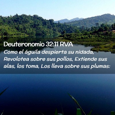 Picture 02 - Deuteronomio 32:11 RVA - Como el águila despierta su nidada, Revolotea - Bible Verse Picture