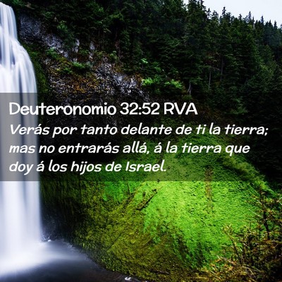 Picture 02 - Deuteronomio 32:52 RVA - Verás por tanto delante de ti la tierra; mas no - Bible Verse Picture