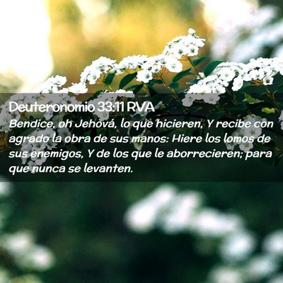 Picture 02 - Deuteronomio 33:11 RVA - Bendice, oh Jehová, lo que hicieren, Y recibe - Bible Verse Picture