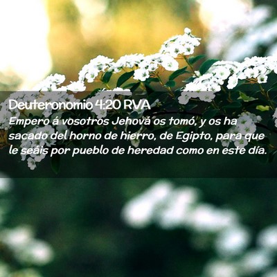 Picture 02 - Deuteronomio 4:20 RVA - Empero á vosotros Jehová os tomó, y os ha - Bible Verse Picture