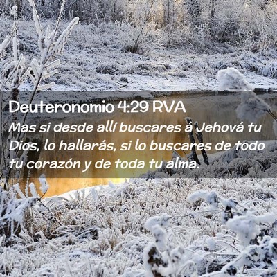 Picture 02 - Deuteronomio 4:29 RVA - Mas si desde allí buscares á Jehová tu Dios, - Bible Verse Picture