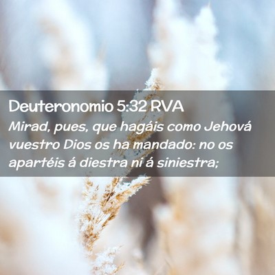 Picture 02 - Deuteronomio 5:32 RVA - Mirad, pues, que hagáis como Jehová vuestro - Bible Verse Picture