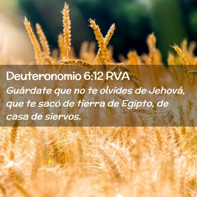 Picture 02 - Deuteronomio 6:12 RVA - Guárdate que no te olvides de Jehová, que te - Bible Verse Picture