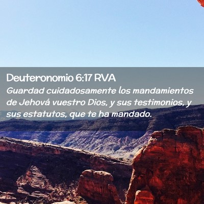 Picture 02 - Deuteronomio 6:17 RVA - Guardad cuidadosamente los mandamientos de - Bible Verse Picture