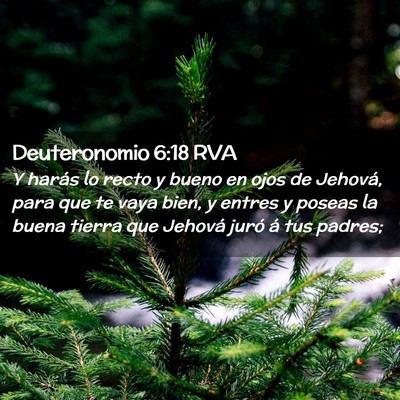 Picture 02 - Deuteronomio 6:18 RVA - Y harás lo recto y bueno en ojos de Jehová, - Bible Verse Picture