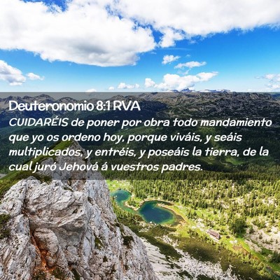 Picture 02 - Deuteronomio 8:1 RVA - CUIDARÉIS de poner por obra todo mandamiento que - Bible Verse Picture