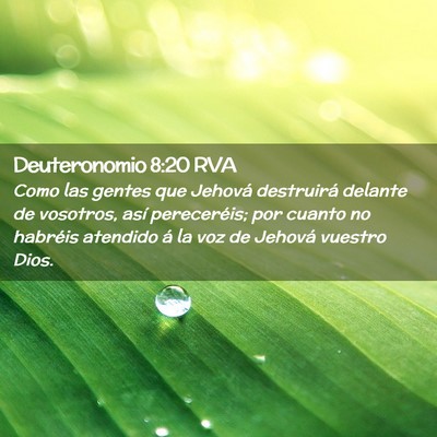 Picture 02 - Deuteronomio 8:20 RVA - Como las gentes que Jehová destruirá delante de - Bible Verse Picture