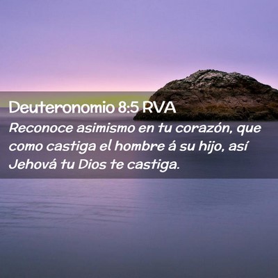 Picture 02 - Deuteronomio 8:5 RVA - Reconoce asimismo en tu corazón, que como - Bible Verse Picture
