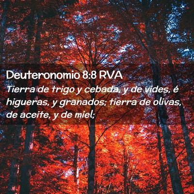 Picture 02 - Deuteronomio 8:8 RVA - Tierra de trigo y cebada, y de vides, é - Bible Verse Picture