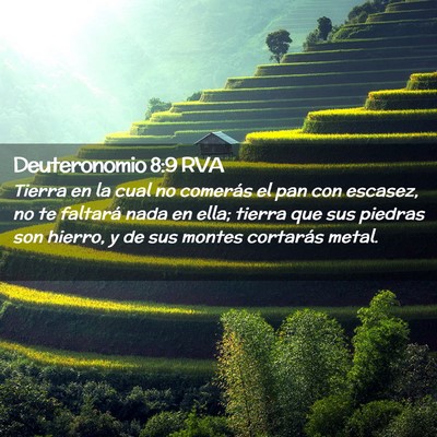 Picture 02 - Deuteronomio 8:9 RVA - Tierra en la cual no comerás el pan con escasez, - Bible Verse Picture