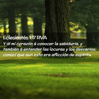 Picture 02 - Eclesiastés 1:17 RVA - Y dí mi corazón á conocer la sabiduría, y - Bible Verse Picture