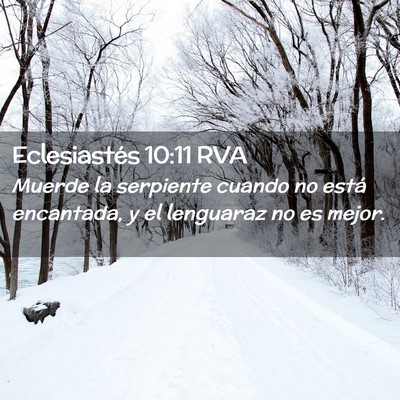 Picture 02 - Eclesiastés 10:11 RVA - Muerde la serpiente cuando no está encantada, y - Bible Verse Picture