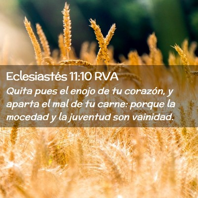 Picture 02 - Eclesiastés 11:10 RVA - Quita pues el enojo de tu corazón, y aparta el - Bible Verse Picture