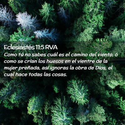 Picture 02 - Eclesiastés 11:5 RVA - Como tú no sabes cuál es el camino del viento, - Bible Verse Picture