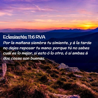 Picture 02 - Eclesiastés 11:6 RVA - Por la mañana siembra tu simiente, y á la tarde - Bible Verse Picture