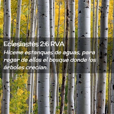 Picture 02 - Eclesiastés 2:6 RVA - Híceme estanques de aguas, para regar de ellos - Bible Verse Picture