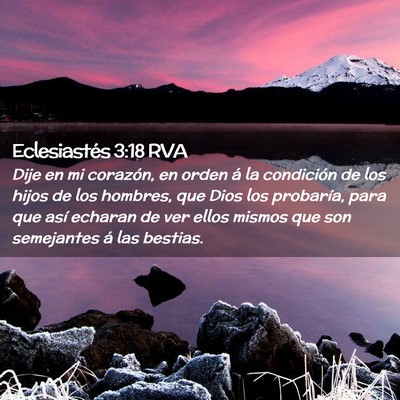 Picture 02 - Eclesiastés 3:18 RVA - Dije en mi corazón, en orden á la condición de - Bible Verse Picture