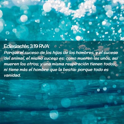 Picture 02 - Eclesiastés 3:19 RVA - Porque el suceso de los hijos de los hombres, y - Bible Verse Picture