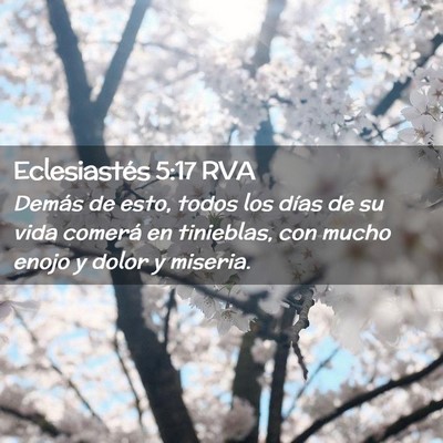 Picture 02 - Eclesiastés 5:17 RVA - Demás de esto, todos los días de su vida - Bible Verse Picture