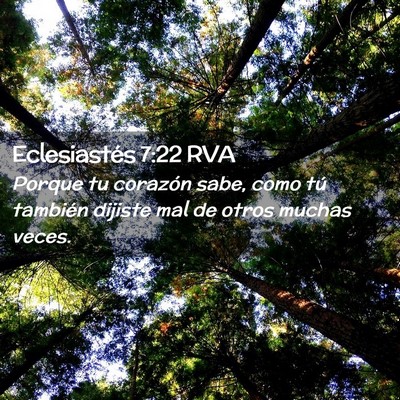 Picture 02 - Eclesiastés 7:22 RVA - Porque tu corazón sabe, como tú también - Bible Verse Picture
