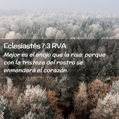 Picture 02 - Eclesiastés 7:3 RVA - Mejor es el enojo que la risa: porque con la - Bible Verse Picture