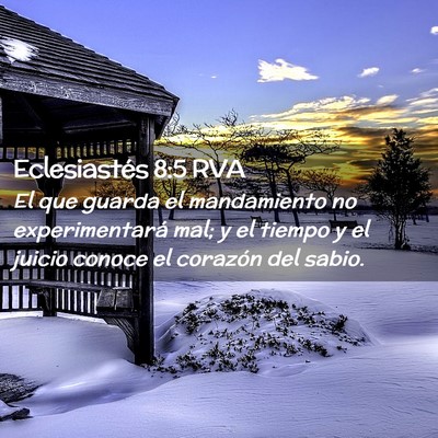 Picture 02 - Eclesiastés 8:5 RVA - El que guarda el mandamiento no experimentará - Bible Verse Picture