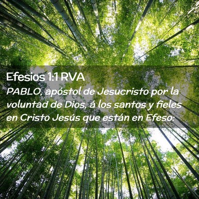 Picture 02 - Efesios 1:1 RVA - PABLO, apóstol de Jesucristo por la voluntad de - Bible Verse Picture
