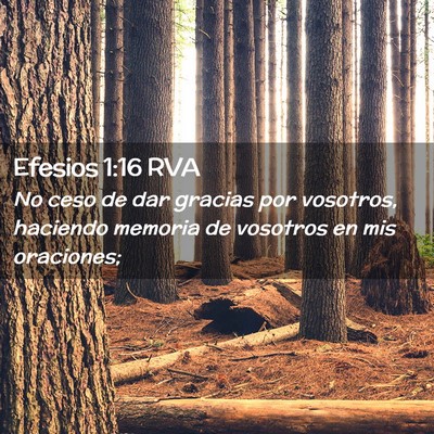 Picture 02 - Efesios 1:16 RVA - No ceso de dar gracias por vosotros, haciendo - Bible Verse Picture