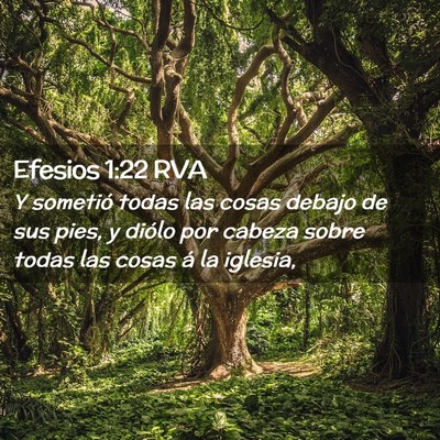 Picture 02 - Efesios 1:22 RVA - Y sometió todas las cosas debajo de sus pies, y - Bible Verse Picture