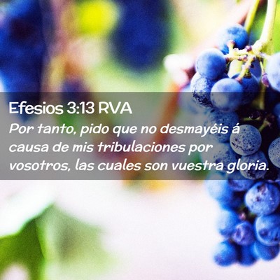 Picture 02 - Efesios 3:13 RVA - Por tanto, pido que no desmayéis á causa de mis - Bible Verse Picture