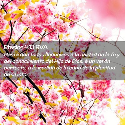Picture 02 - Efesios 4:13 RVA - Hasta que todos lleguemos á la unidad de la fe y - Bible Verse Picture