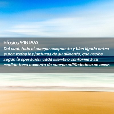 Picture 02 - Efesios 4:16 RVA - Del cual, todo el cuerpo compuesto y bien ligado - Bible Verse Picture