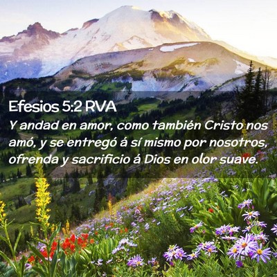 Picture 02 - Efesios 5:2 RVA - Y andad en amor, como también Cristo nos amó, y - Bible Verse Picture