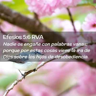 Picture 02 - Efesios 5:6 RVA - Nadie os engañe con palabras vanas; porque por - Bible Verse Picture