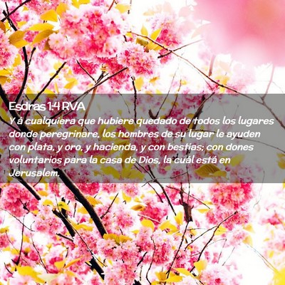 Picture 02 - Esdras 1:4 RVA - Y á cualquiera que hubiere quedado de todos los - Bible Verse Picture
