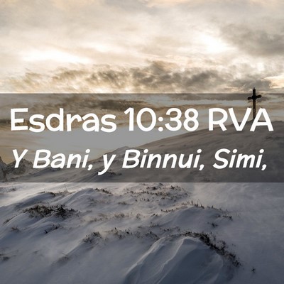 Picture 02 - Esdras 10:38 RVA - Y Bani, y Binnui, - Bible Verse Picture