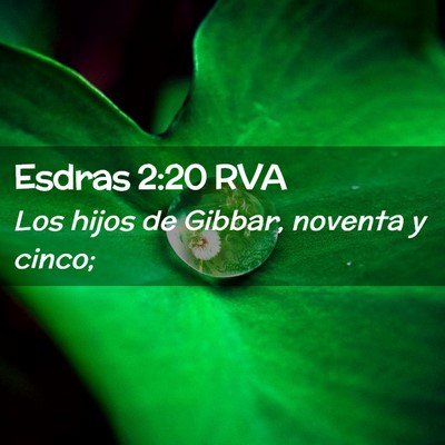 Picture 02 - Esdras 2:20 RVA - Los hijos de Gibbar, noventa y - Bible Verse Picture