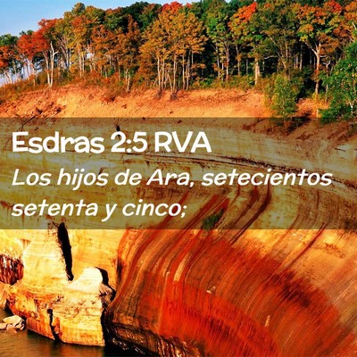 Picture 02 - Esdras 2:5 RVA - Los hijos de Ara, setecientos setenta y - Bible Verse Picture