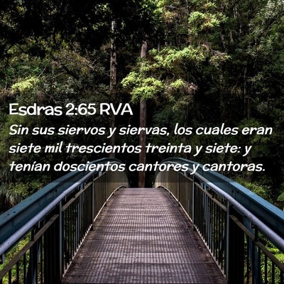 Picture 02 - Esdras 2:65 RVA - Sin sus siervos y siervas, los cuales eran siete - Bible Verse Picture
