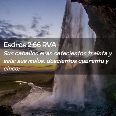 Picture 02 - Esdras 2:66 RVA - Sus caballos eran setecientos treinta y seis; sus - Bible Verse Picture