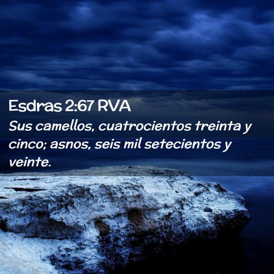 Picture 02 - Esdras 2:67 RVA - Sus camellos, cuatrocientos treinta y cinco; - Bible Verse Picture