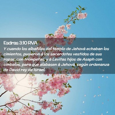Picture 02 - Esdras 3:10 RVA - Y cuando los albañiles del templo de Jehová - Bible Verse Picture