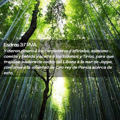 Picture 02 - Esdras 3:7 RVA - Y dieron dinero á los carpinteros y oficiales; - Bible Verse Picture