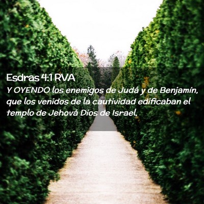 Picture 02 - Esdras 4:1 RVA - Y OYENDO los enemigos de Judá y de Benjamín, - Bible Verse Picture