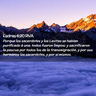 Picture 02 - Esdras 6:20 RVA - Porque los sacerdotes y los Levitas se habían - Bible Verse Picture