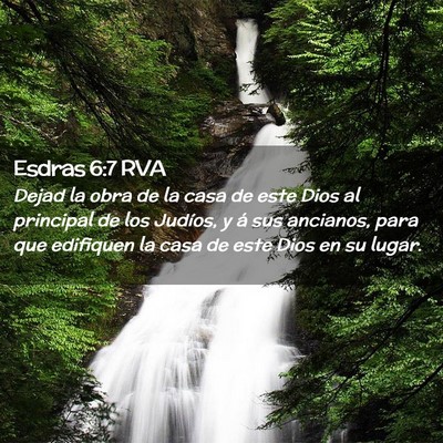 Picture 02 - Esdras 6:7 RVA - Dejad la obra de la casa de este Dios al - Bible Verse Picture